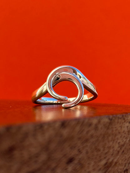 Ocean Flow Ring