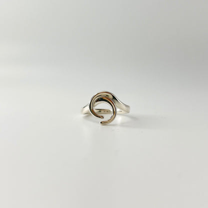 Ocean Flow Ring