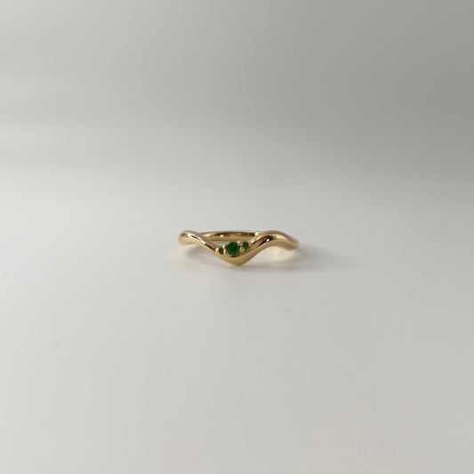 Wave Cluster Ring